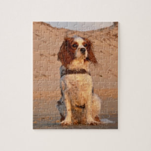 Blenheim Cavalier King Charles Spaniel Beach Jigsaw Puzzle