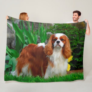 Blenheim Cavalier King Charles Spaniel Dog Fleece Blanket