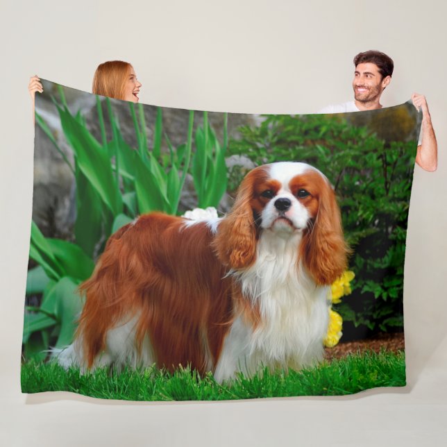 Blenheim Cavalier King Charles Spaniel Dog Fleece Blanket (In Situ)
