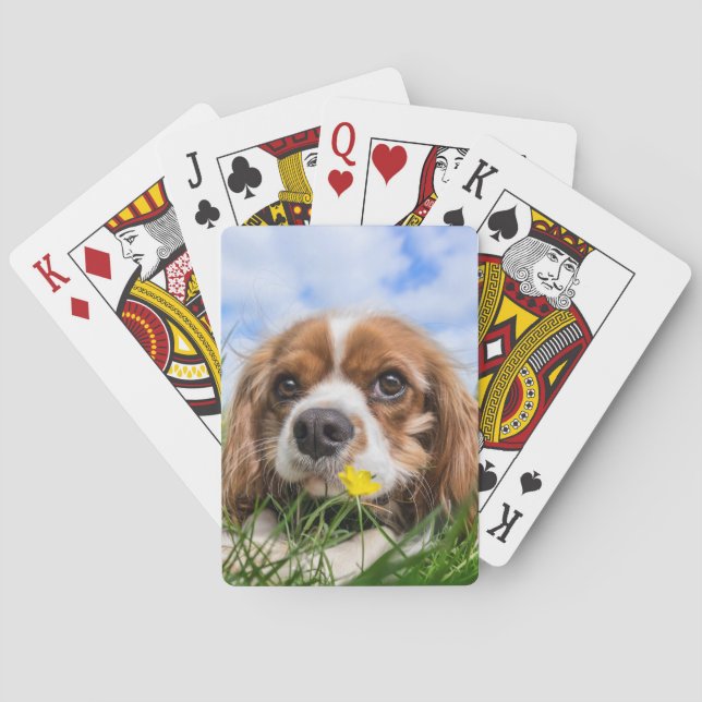 Blenheim Cavalier King Charles Spaniel Dog Playing Cards (Back)
