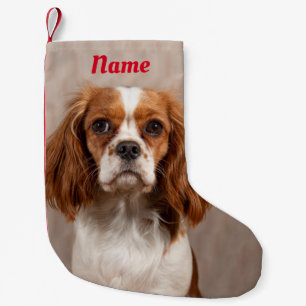 Blenheim Cavalier King Charles Spaniel Dog Small Christmas Stocking