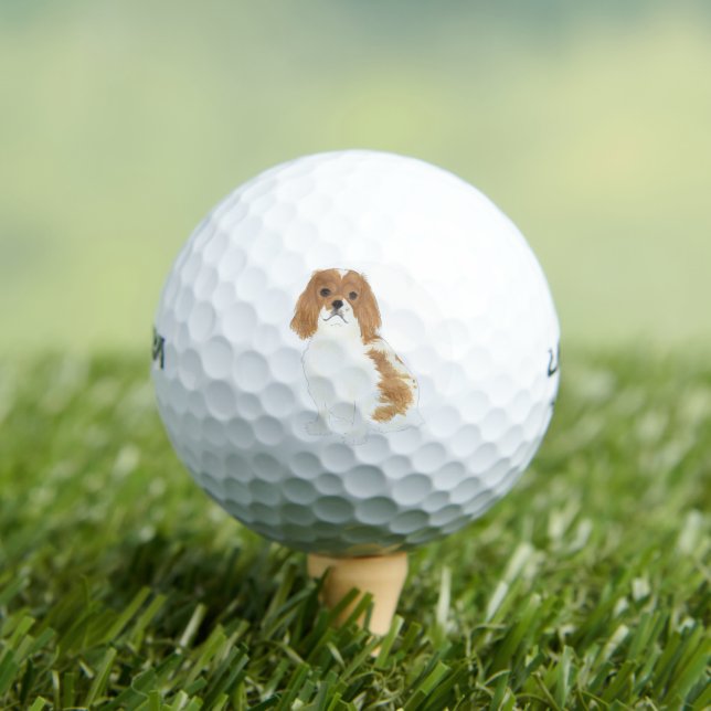 Blenheim Cavalier King Charles Spaniel Golf Balls (Insitu Tee)