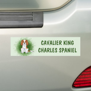Blenheim Cavalier King Charles Spaniel On Green Bumper Sticker