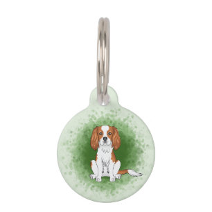 Blenheim Cavalier King Charles Spaniel On Green Pet Tag