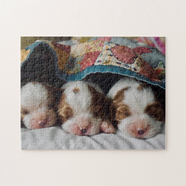 Blenheim Cavalier King Charles Spaniel Puppies Jigsaw Puzzle (Horizontal)