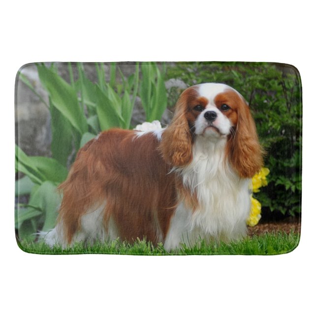 Blenheim Cavalier King Charles Spaniel Puppy Dog Bath Mat (Front)