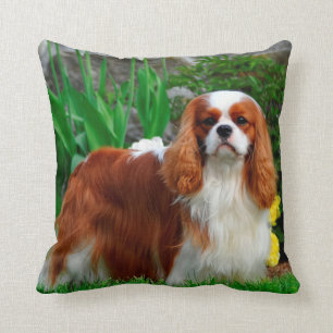 Blenheim Cavalier King Charles Spaniel Puppy Dog Cushion