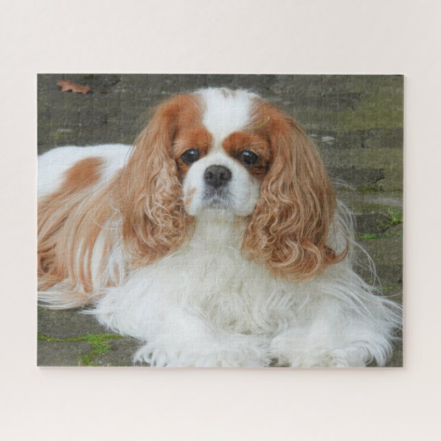 Blenheim Cavalier King Charles Spaniel Puppy Dog J Jigsaw Puzzle (Horizontal)