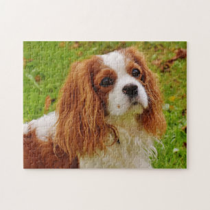 Blenheim Cavalier King Charles Spaniel Puppy Dog Jigsaw Puzzle