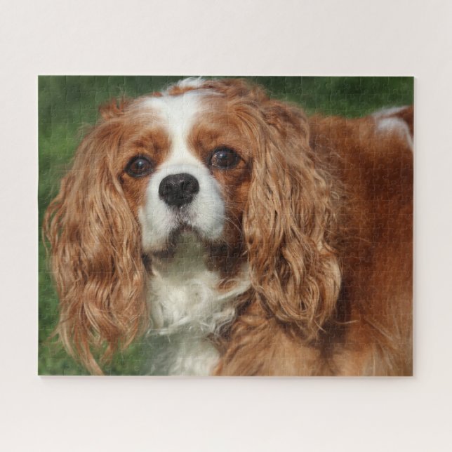 Blenheim Cavalier King Charles Spaniel Puppy Dog Jigsaw Puzzle (Horizontal)