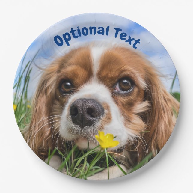 Blenheim Cavalier King Charles Spaniel Puppy Dog Paper Plate (Front)