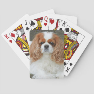 Blenheim Cavalier King Charles Spaniel Puppy Dog Playing Cards