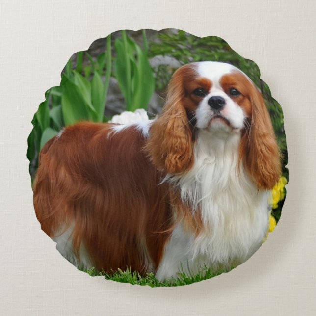 Blenheim Cavalier King Charles Spaniel Puppy Dog Round Cushion (Front)