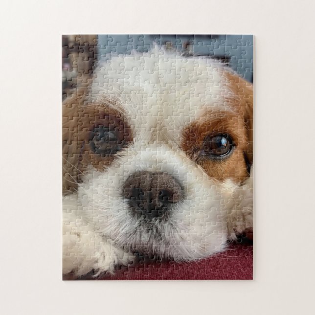 Blenheim Cavalier  King Charles Spaniel  Puzzle (Vertical)