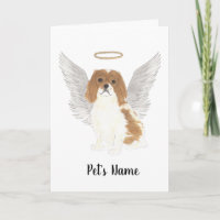Blenheim Cavalier King Charles Spaniel Sympathy