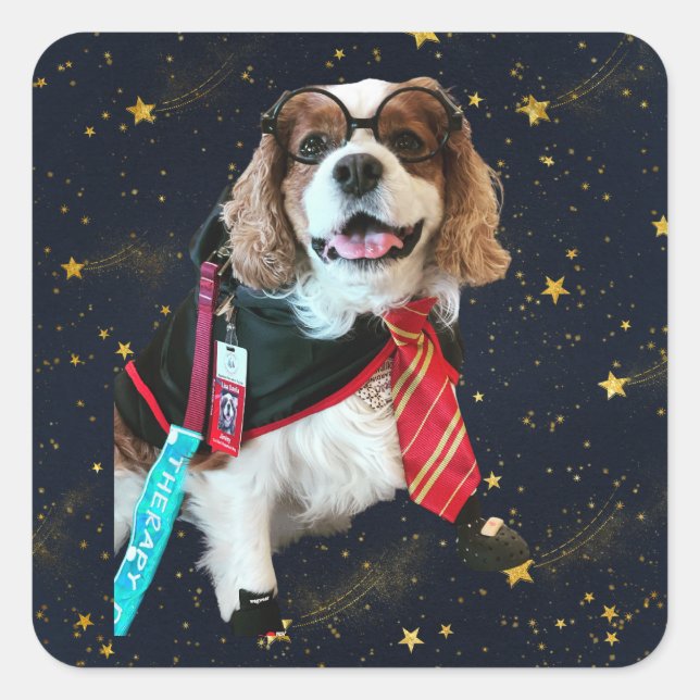 Blenheim Cavalier King Charles Wizard Square Stick Sticker (Front)
