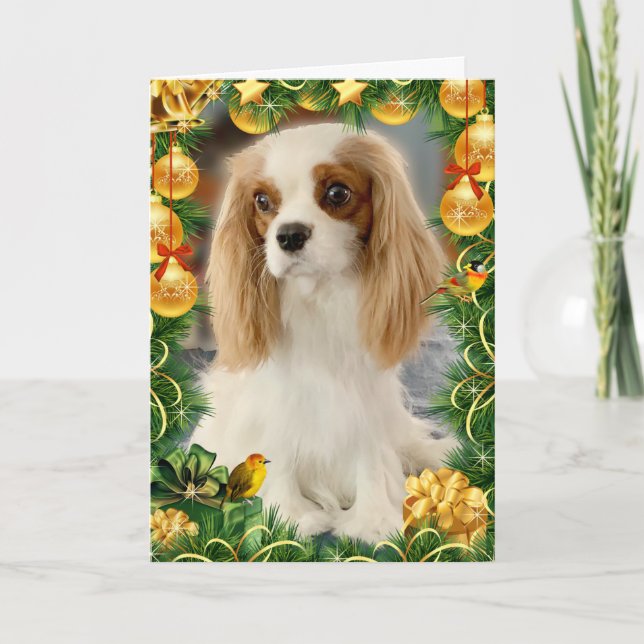 Blenheim Cavalier Spaniel Holiday Card (Front)