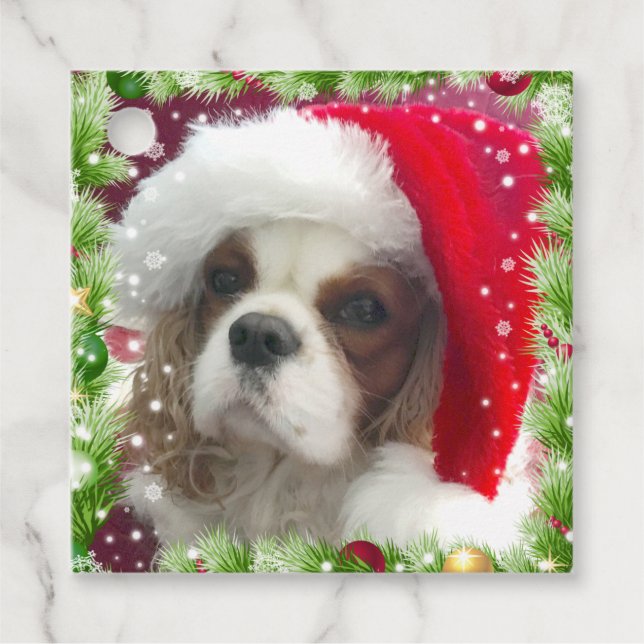 Blenheim Cavalier Spaniel Holiday Gift Tag  (Front)