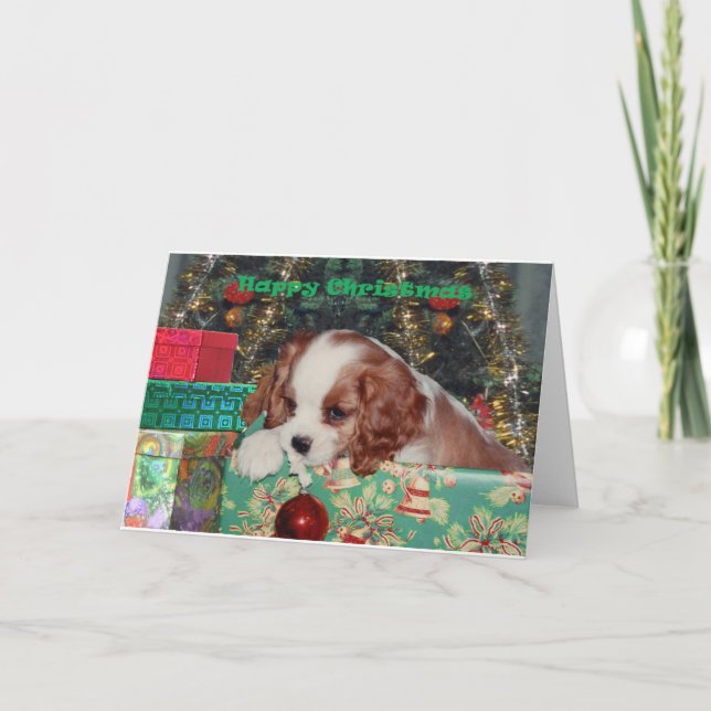Blenheim Christmas Puppy Holiday Card (Front)