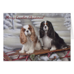 Blenheim/Tricolor Cavalier Spaniel Christmas Card