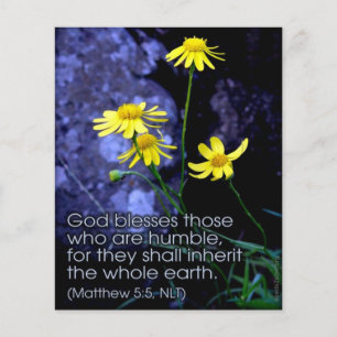 Blessed Are the Meek Flyer