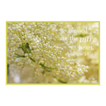 Blessed are the Pure in Heart