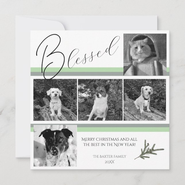 Blessed Modern 5 Photo Green Pine Branch Christmas Holiday Card (Front)