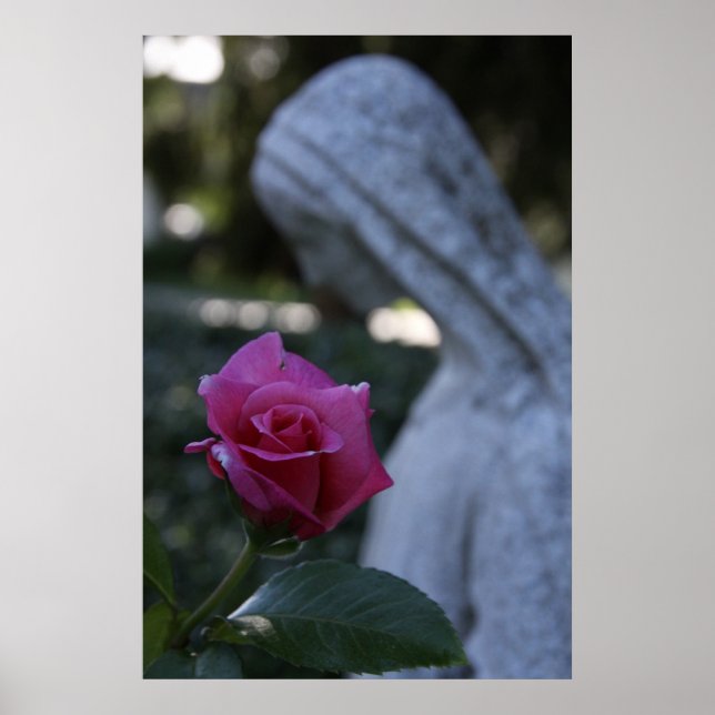 Blessed Mother & the Rose Poster (Front)