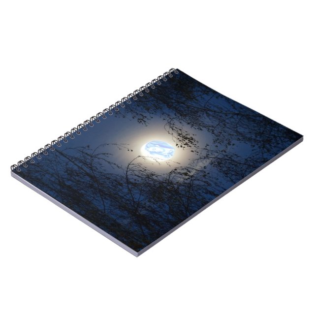 Blessed Virgin Mary in the Moon Lite Forest Notebook (Left Side)