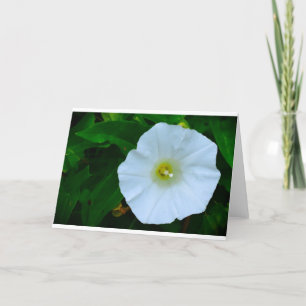 Blessing of Nature, Card