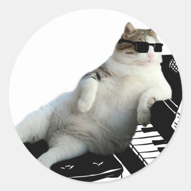 Blind cat pianist classic round sticker (Front)
