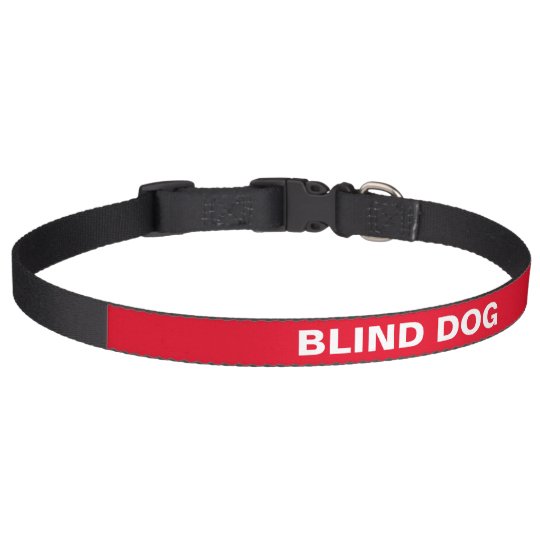 Blind dog collar