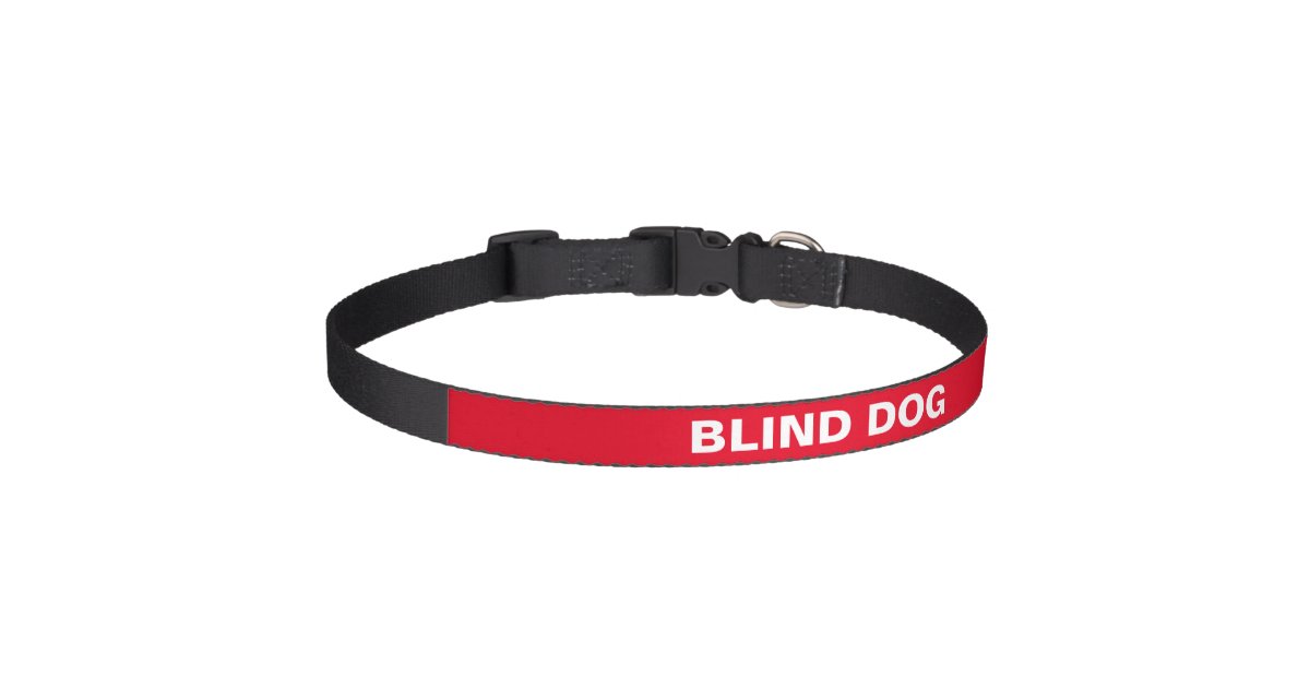 Blind dog collar Zazzle