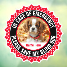 Blind Dog Safety Alert First Responder Photo Name