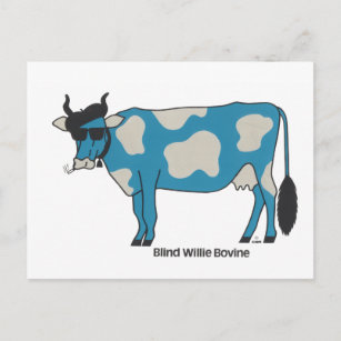 Blind Willie Bovine Postcard