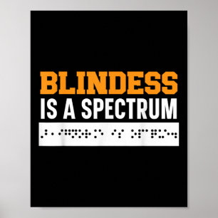 Blindness Is A Spectrum Braille Blind Awareness Vi Poster