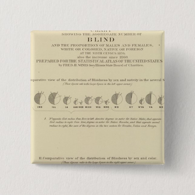 Blindness, Statistical US Lithograph 1870 15 Cm Square Badge (Front)