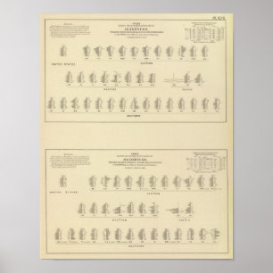 Blindness, Statistical US Lithograph Poster