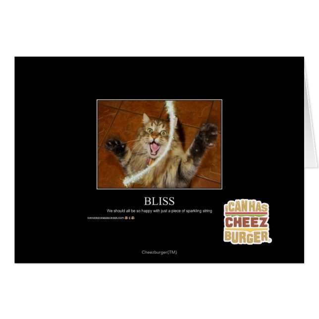 Bliss (Front Horizontal)