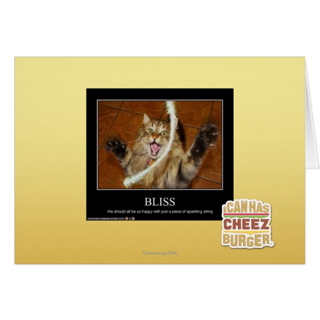 Bliss (Front Horizontal)