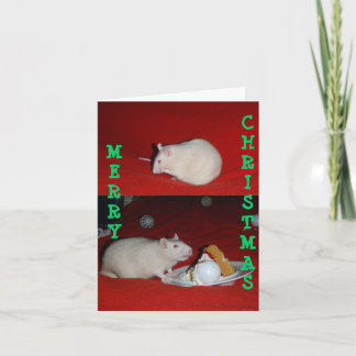 Bliss, Bliss01, CHRISTMAS, MERRY Holiday Card