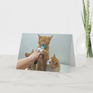 "Bliss" - Huey and his favourite treat Card