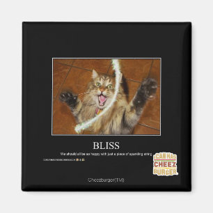 Bliss Magnet