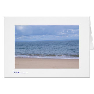 bliss see ya memory card