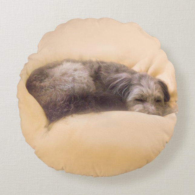 Blissful Sleep with a Mixed-Breed Dog (Green) Round Cushion (Front)
