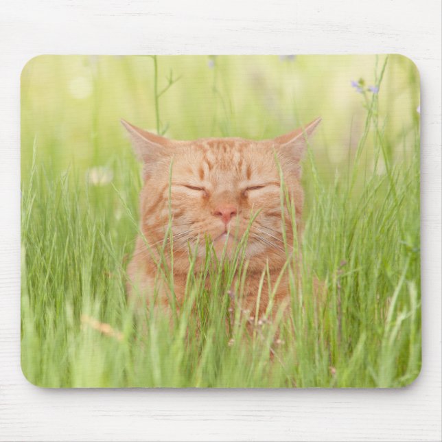 Blissfully Happy Cat Mouse Pad (Front)