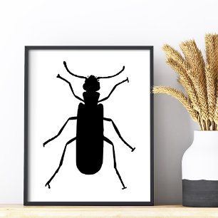 Blister Beetle Silhouette Photo Print