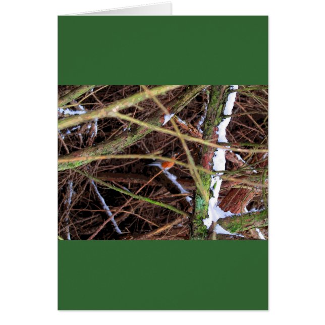 Blizzard Bird CB (Front)