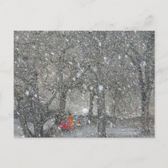 Blizzard forest postcard (Front)