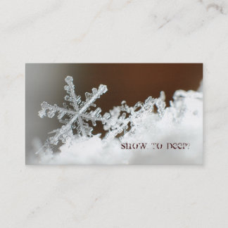 Blizzard of 2009 business card